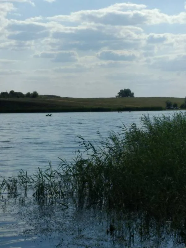 Карась