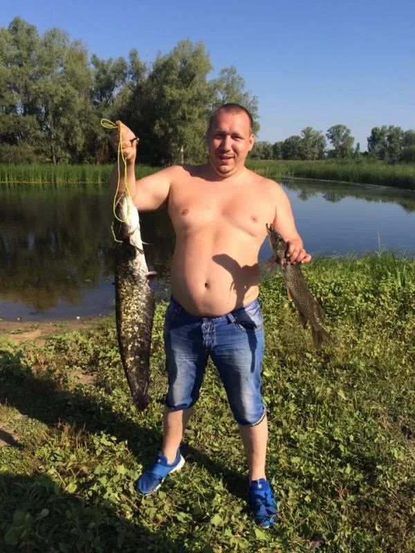 Сом, Щука