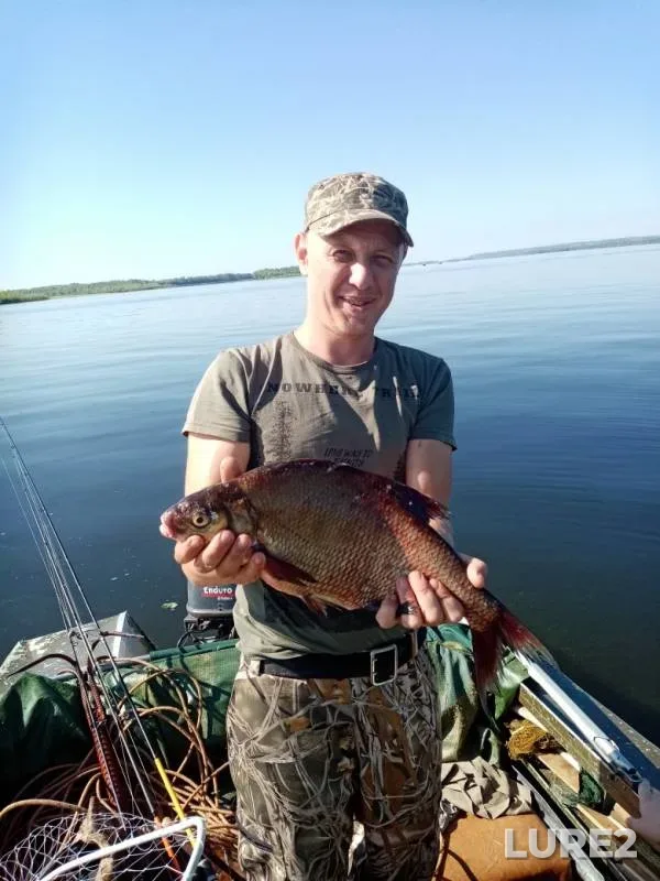 Лещ — Волга, 23 июл. 2019 г.