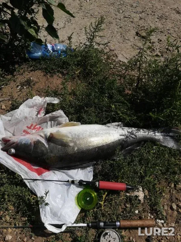 Судак — Волга, 16 авг. 2019 г.