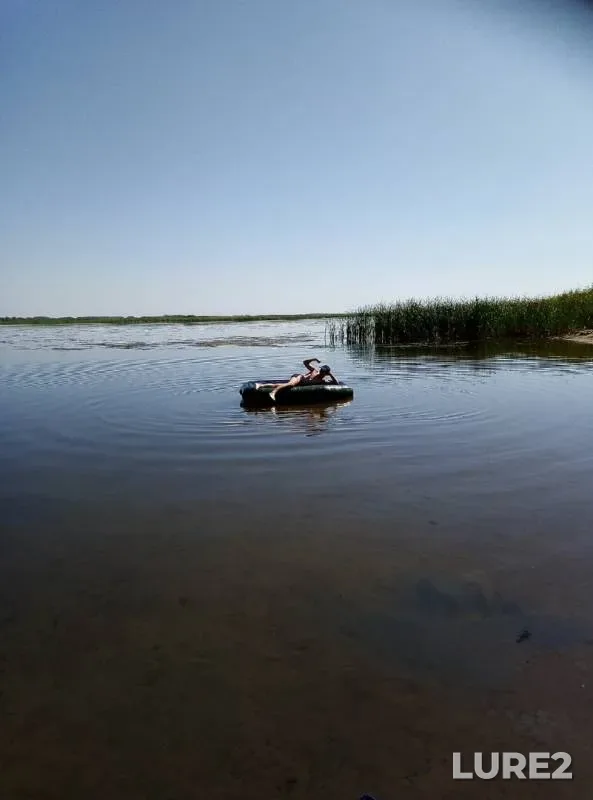 Щука — Волга, 16 авг. 2019 г.