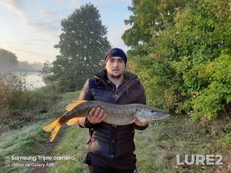 Щука — Турмасовка, 29 сент. 2019 г.