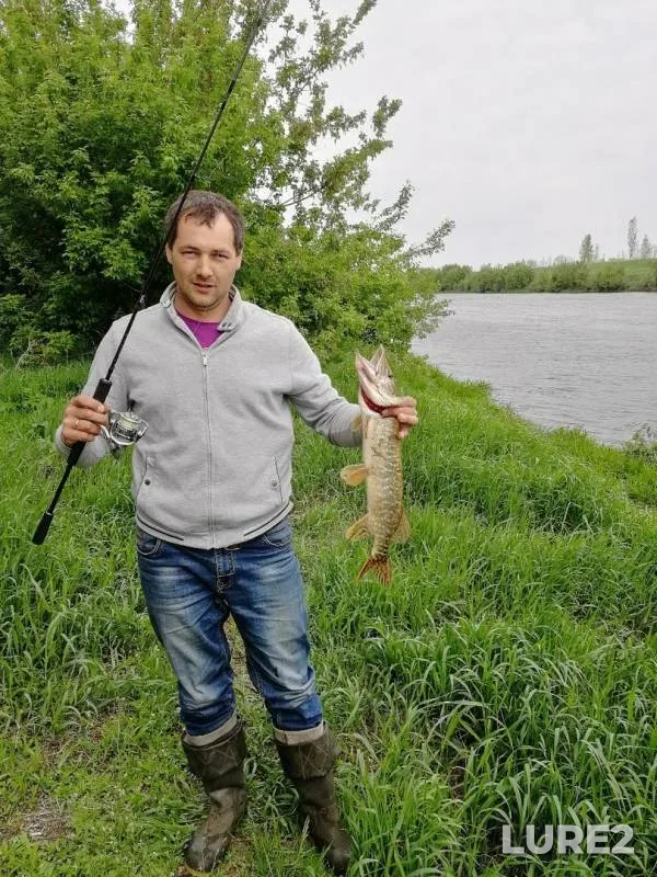 Щука — Дон, 17 мая 2019 г.