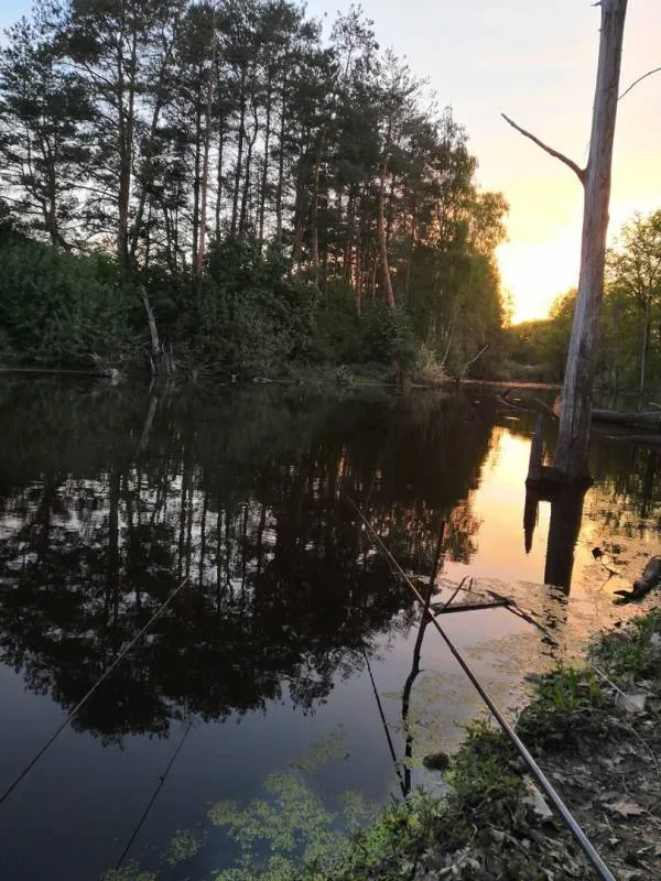 Карась