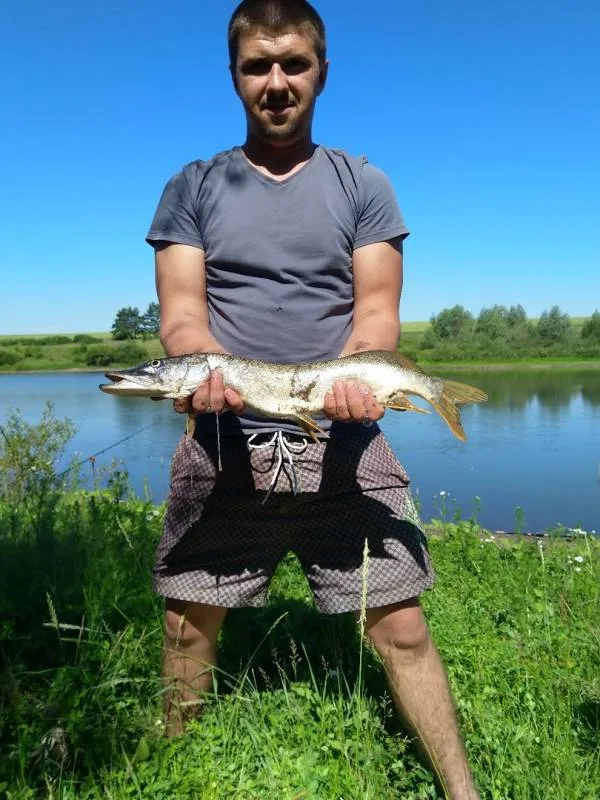 Щука