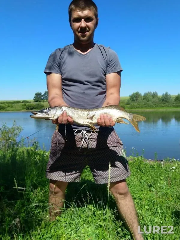 Щука — Липецкая область, 20 июн. 2019 г.