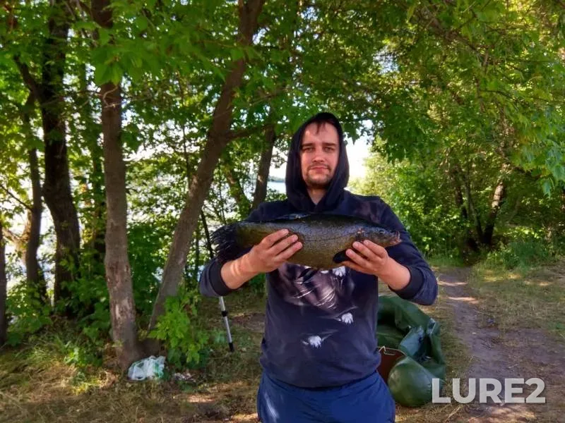 Линь — Воронеж, 10 июл. 2019 г.