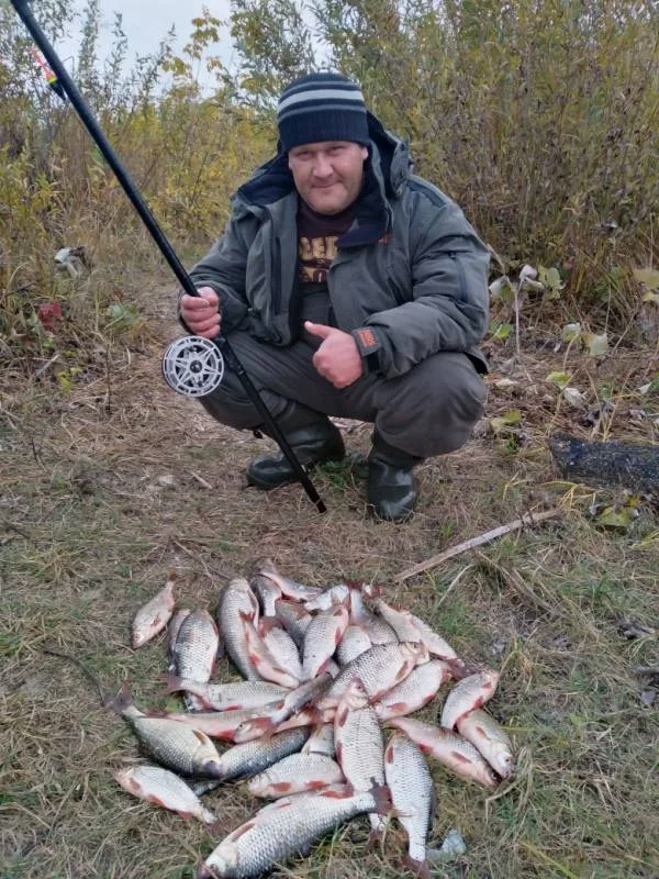 Плотва