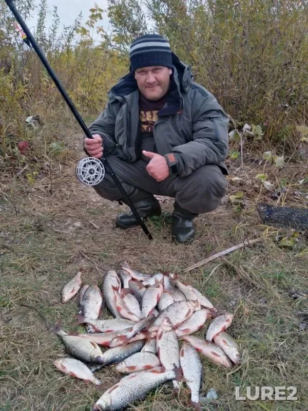 Плотва — Быстрая Сосна, 01 окт. 2019 г.
