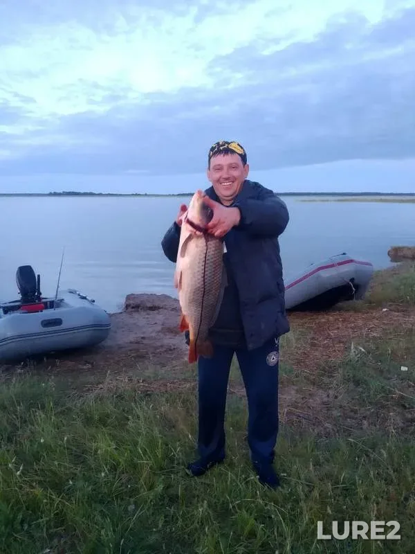 Карп — Чаны, 26 июн. 2019 г.