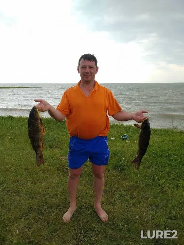 Карп — Чаны, 26 июн. 2019 г.
