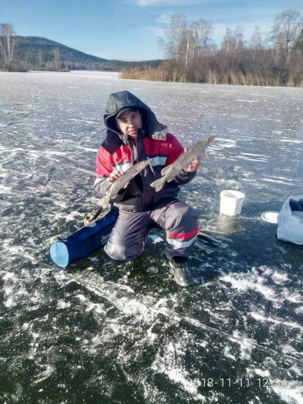 Щука