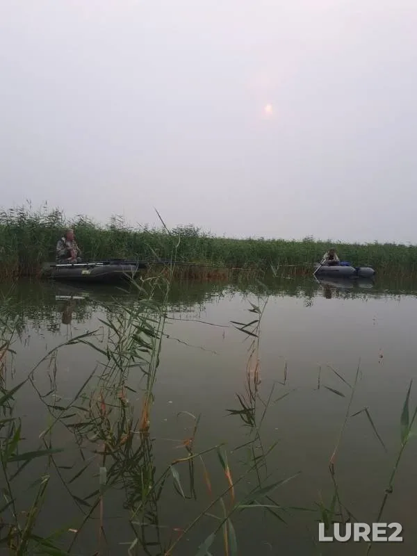 Карась, Язь — Сартлан, 25 июл. 2019 г.