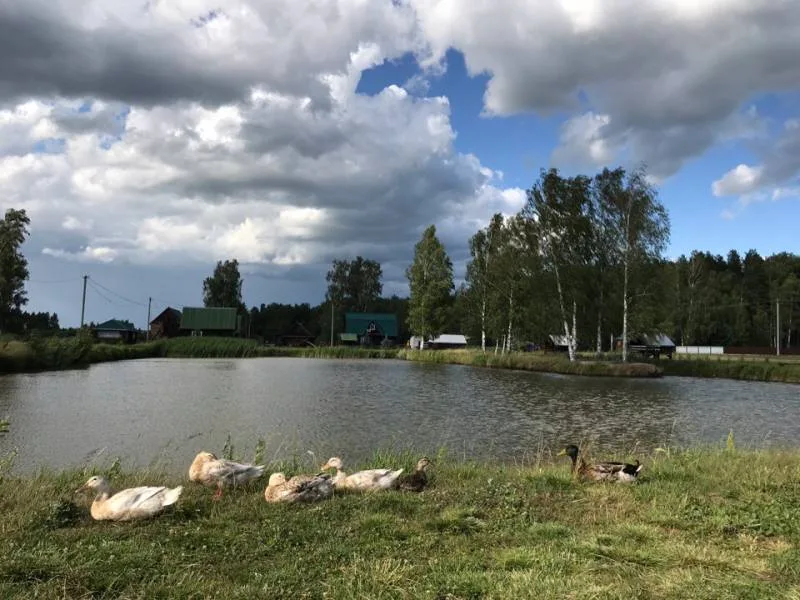 Карп
