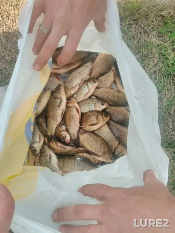 Карась — Самарская область, 14 апр. 2019 г.