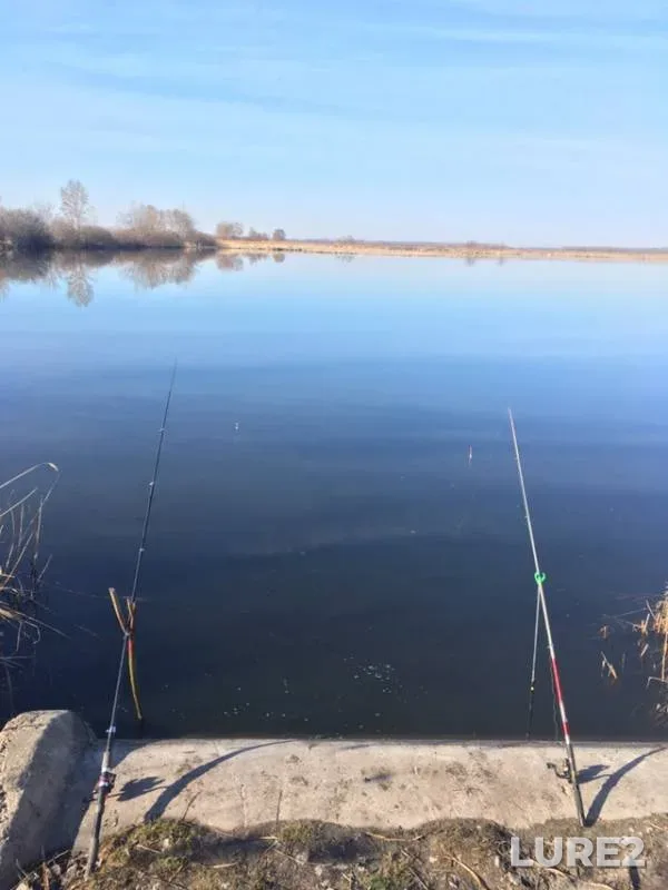 Карась — Самарская область, 16 апр. 2019 г.