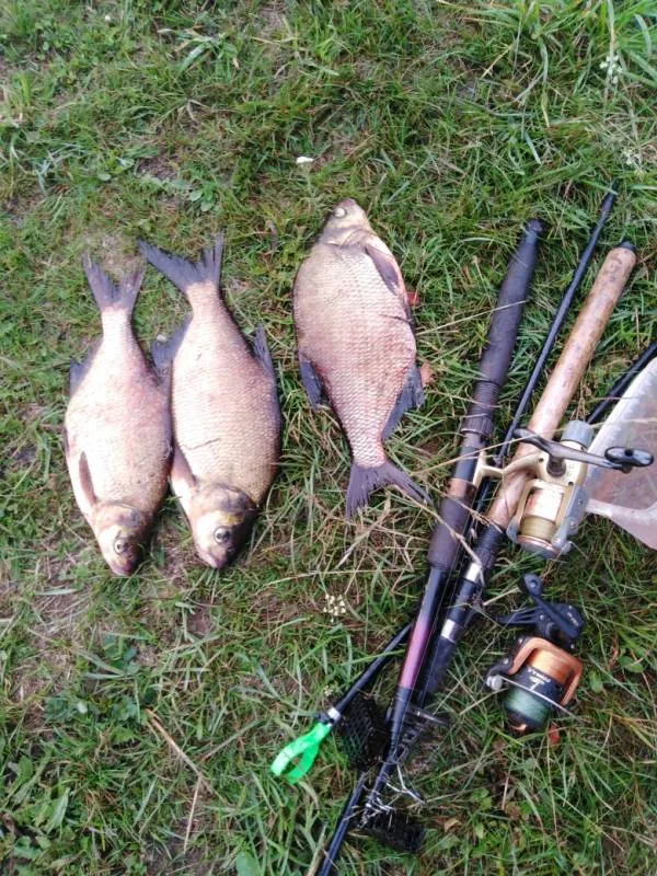 Лещ