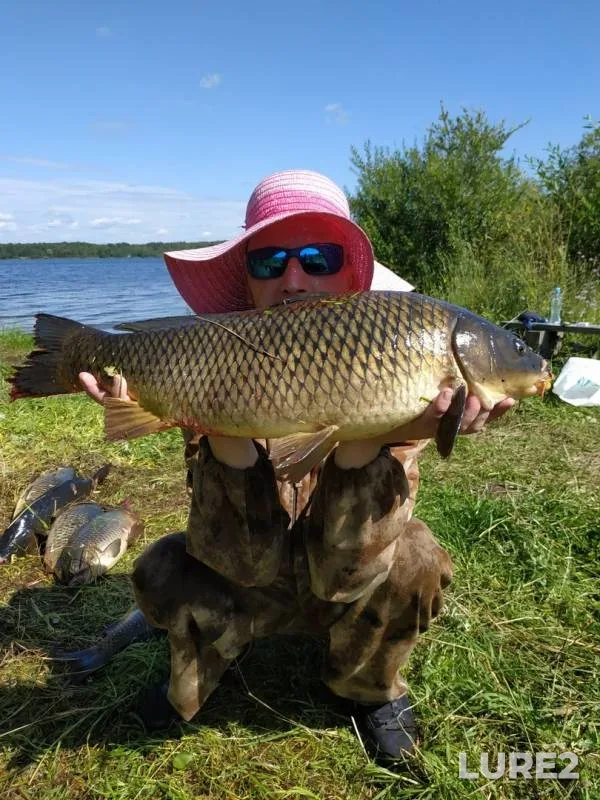 Карп