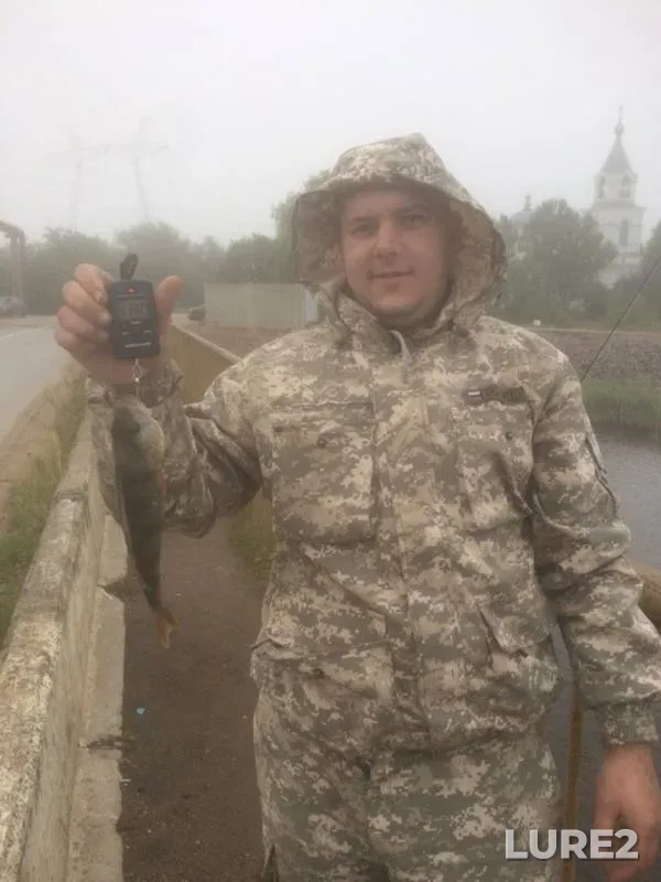 Окунь