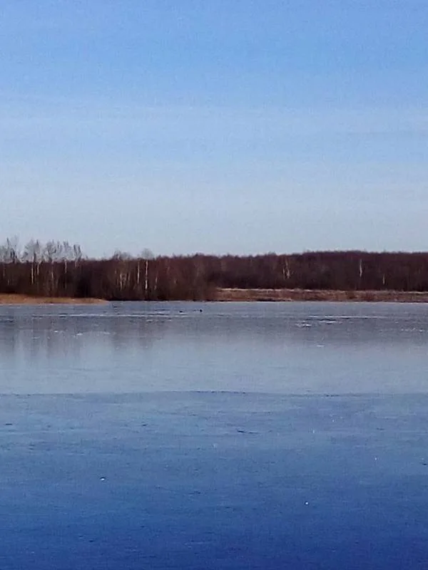 Окунь