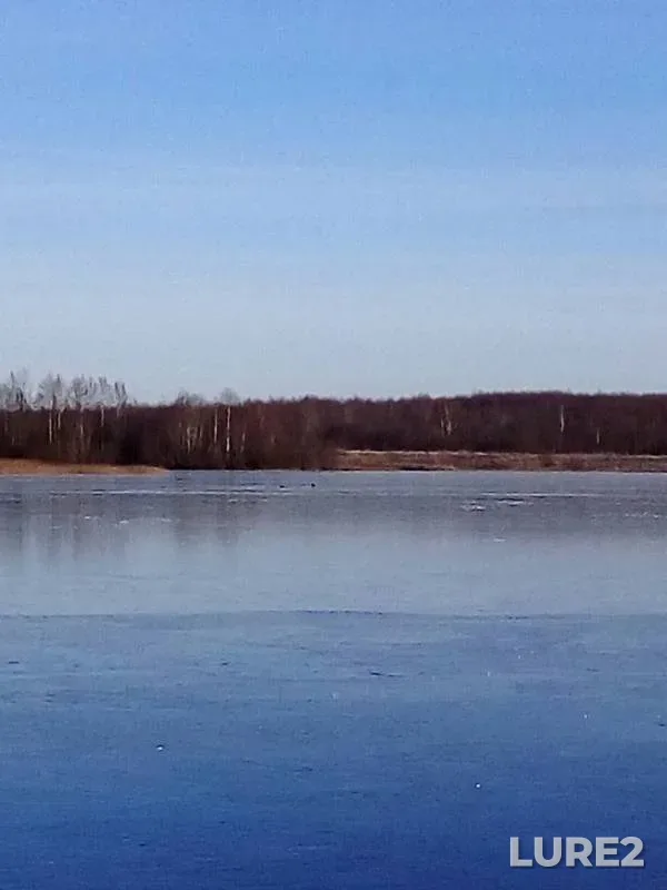 Окунь — Поведь, 24 нояб. 2019 г.