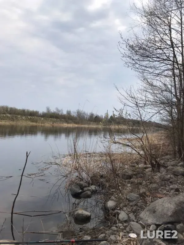 Язь, Окунь — Новоладожский канал, 27 апр. 2019 г.