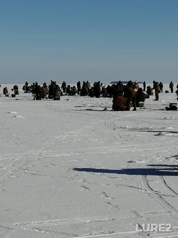 Окунь, Щука — Волга, 15 мар. 2019 г.