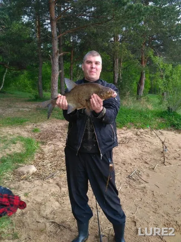 Лещ — Волга, 18 мая 2019 г.