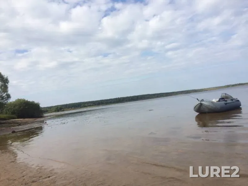 Окунь