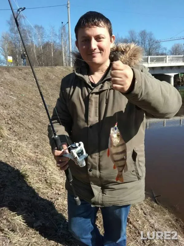 Окунь