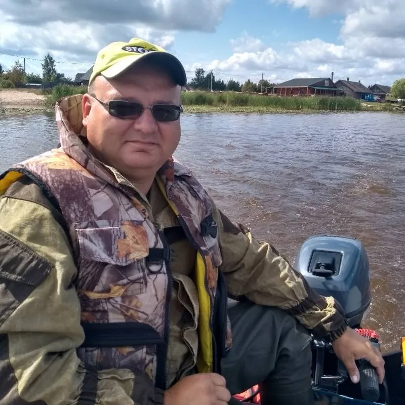 Окунь, Судак