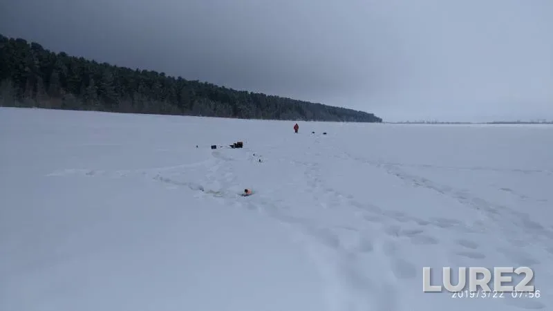 Щука — Ханты-Мансийский автономный округ — Югра, 22 мар. 2019 г.