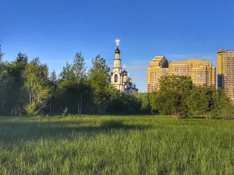 Окунь, Щука