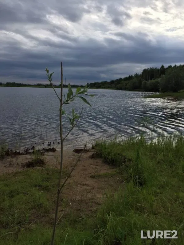 Щука — Копань, 10 июл. 2019 г.