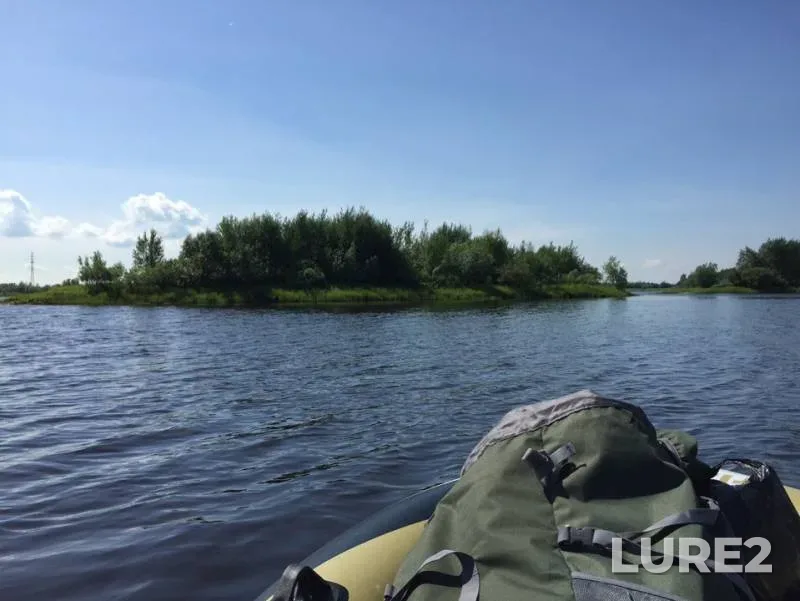 Щука — Копань, 13 июл. 2019 г.