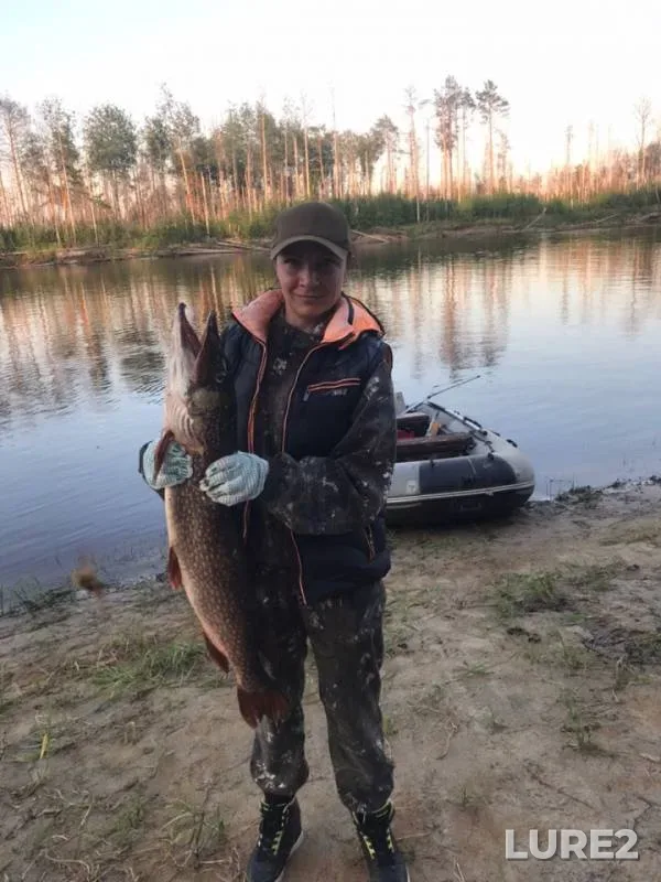 Щука — Лямин, 13 июл. 2019 г.