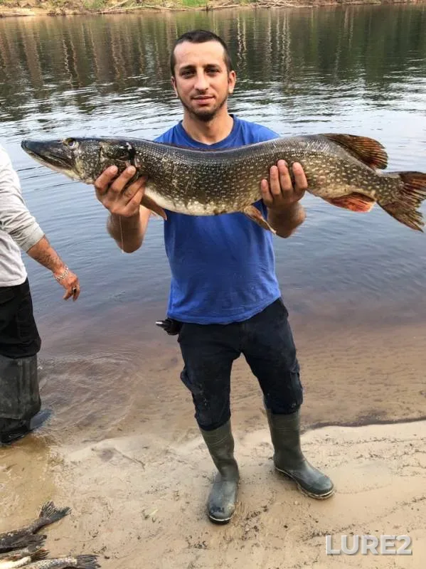 Щука — Лямин, 23 июл. 2019 г.