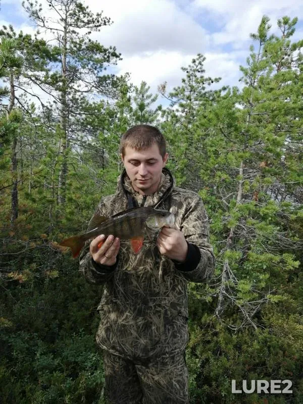 Щука — Пильтанлор, 28 июл. 2019 г.