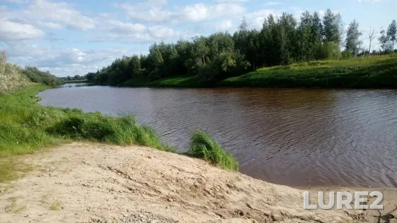 Щука — протока Сырой Аган, 07 авг. 2019 г.