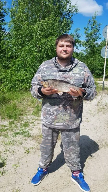Жерех