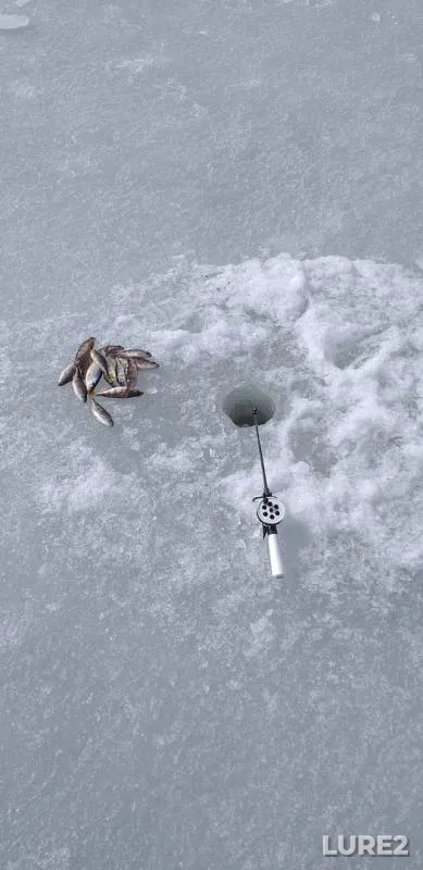 Окунь — Шаранское, 28 мар. 2019 г.