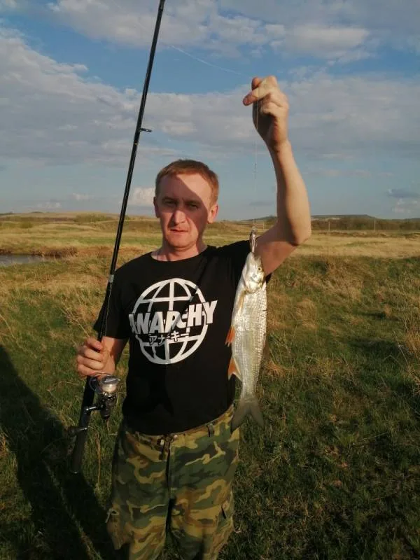 Жерех