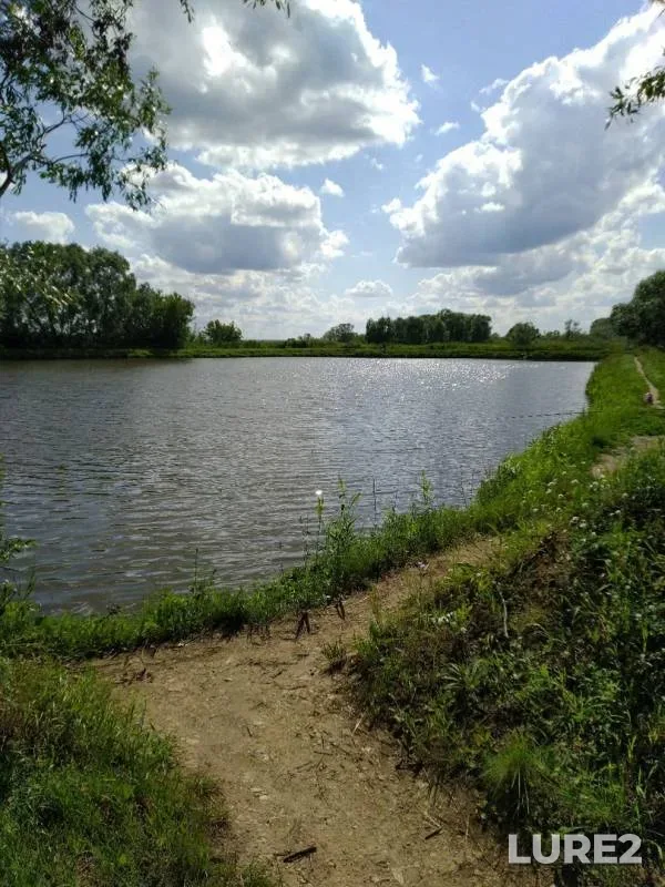 Карась, Окунь — Крым-Сараево, 08 июл. 2019 г.