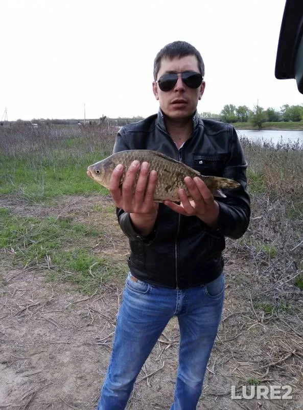 Карась