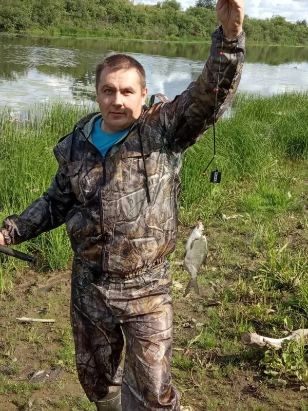 Окунь, Щука