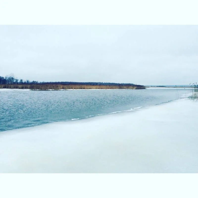 Лещ, Плотва