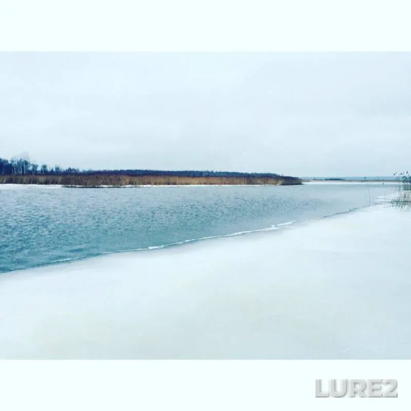 Лещ, Плотва — Селижаровка, 01 февр. 2016 г.