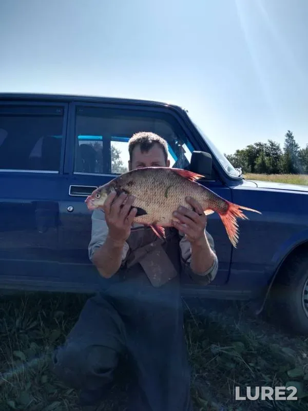 Лещ — Шелюгино, 09 авг. 2019 г.