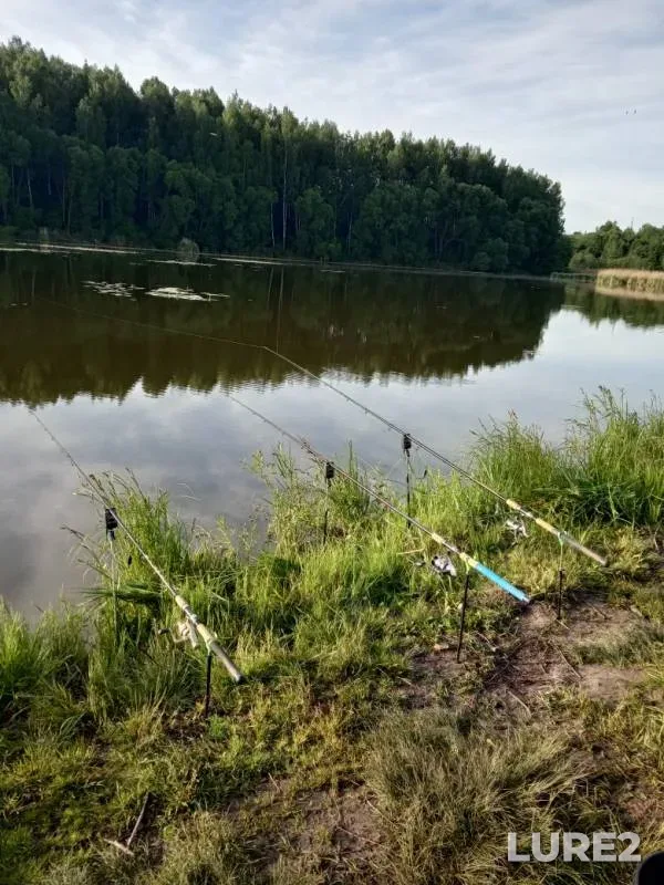 Карп