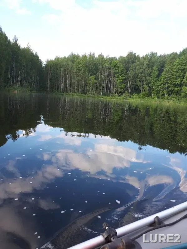 Щука — Десногорское, 02 июн. 2019 г.